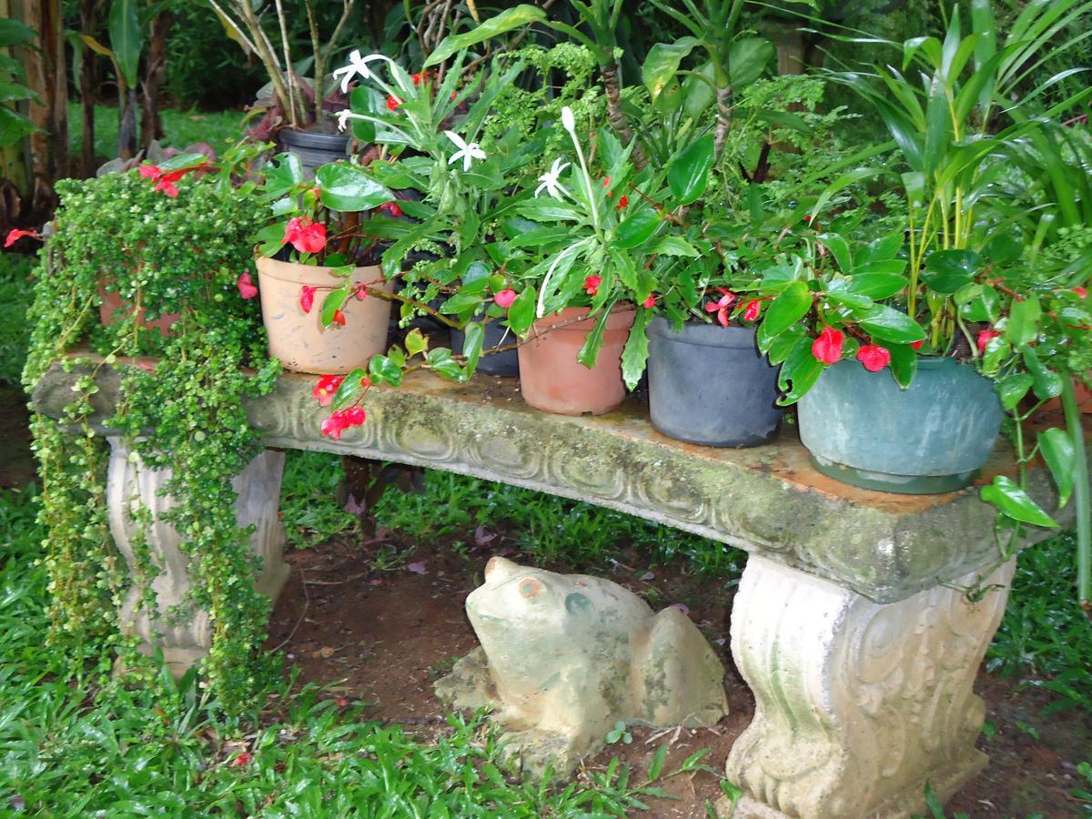 Bed and Breakfast Quinta Don Fernando La Garita  Exterior foto